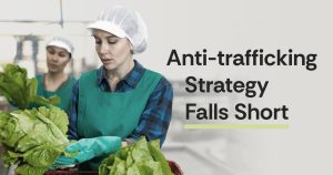 Graphic with the text “Anti-trafficking Strategy Falls Short.” Beside the text, two people wearing hairnets, aprons, and gloves work with fresh lettuce in a food-processing setting.