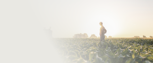 A person wearing a hat stands in a green crop field at sunrise or sunset, with trees and farm structures visible in the background. The left side of the image fades into a light, empty space.
