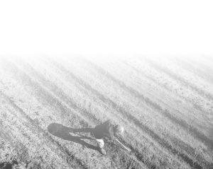 A person wearing a hat and jacket is working in a plowed field with a tool, viewed from above. The upper part of the image fades into white, with visible rows of soil in the lower section.